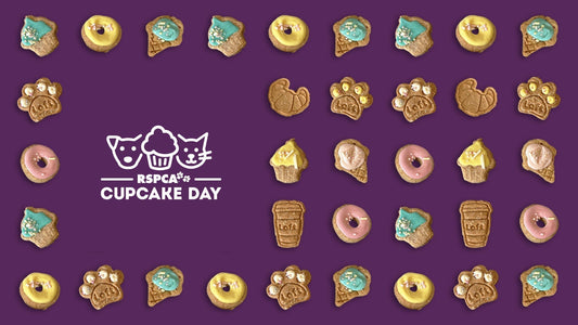 Celebrate RSPCA Cupcake Day with Laft Pet!