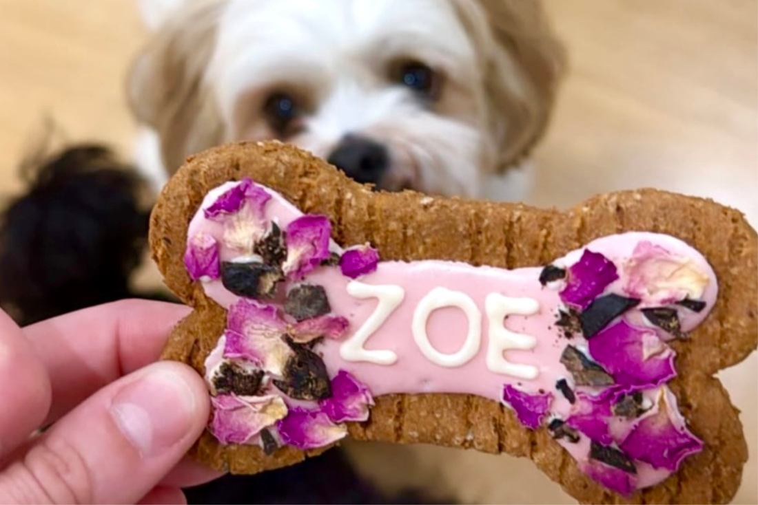 The Best Dog Gift Ideas for Birthdays & Gotcha Days