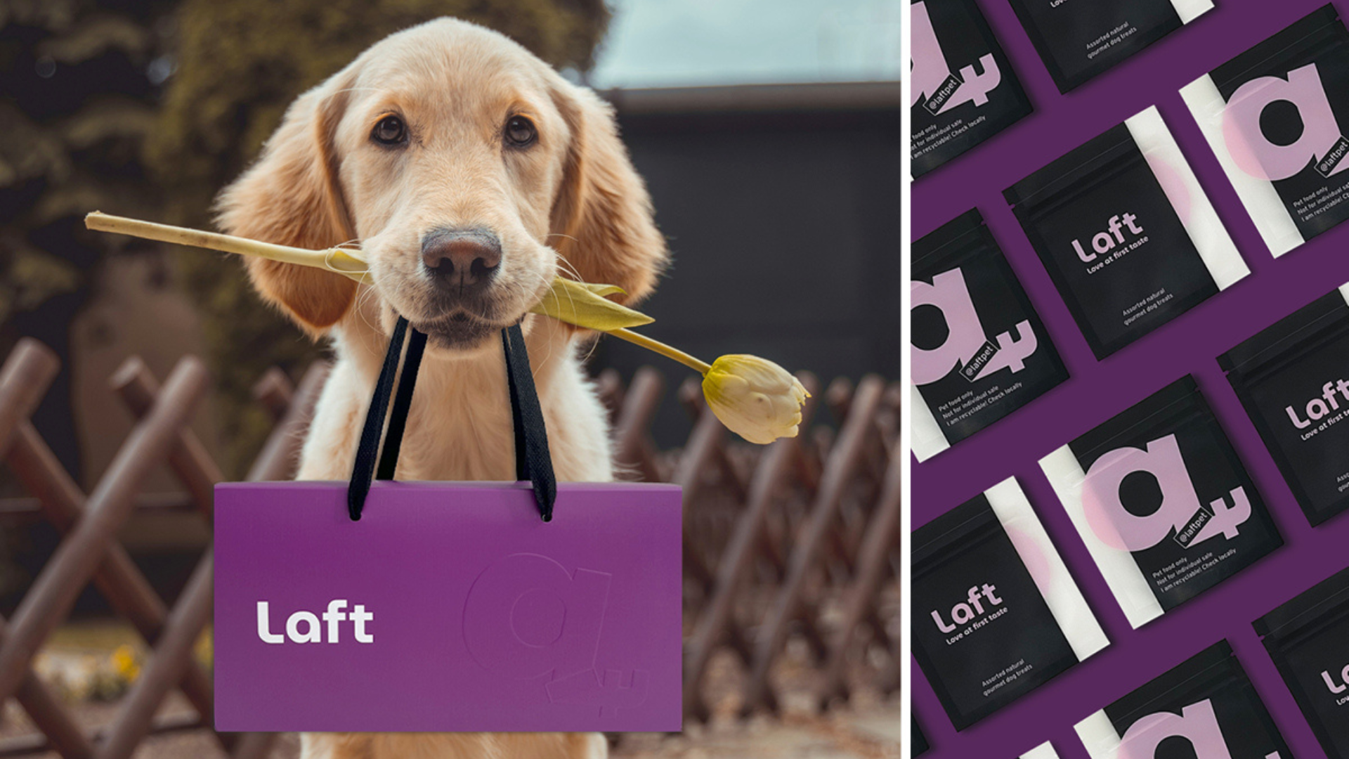 Golden retriever puppy holding a purple Laft Pet gift bag and a white tulip in its mouth. On the right, a display of Laft Pet black treat pouches arranged neatly on a purple background, with the tagline 'Love at First Taste.'