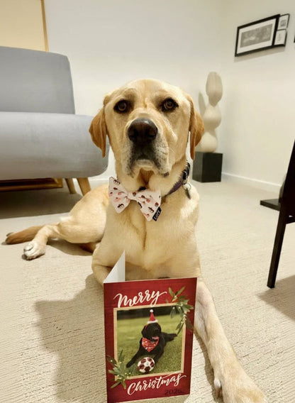 Dog wearing a Laft white dessert pattern bow tie with a Christmas card in front of it.