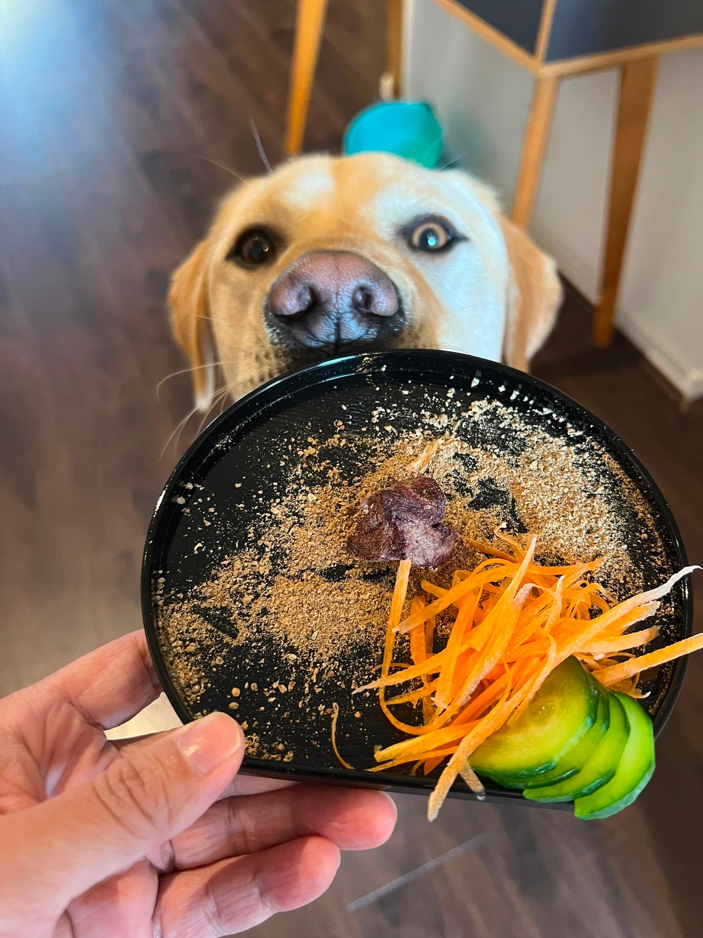 A Labrador sniffing Laft Pet Freeze Dried Emu treats served on a black plate, with fresh carrot and cucumber slices on the side.