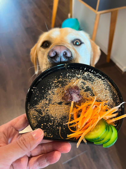 A Labrador sniffing Laft Pet Freeze Dried Emu treats served on a black plate, with fresh carrot and cucumber slices on the side.